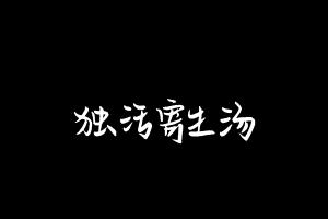 中药方剂大全
