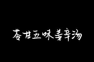 中药方剂大全