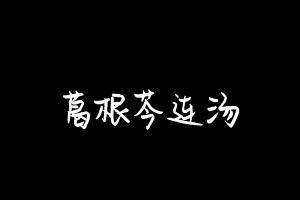 中药方剂大全